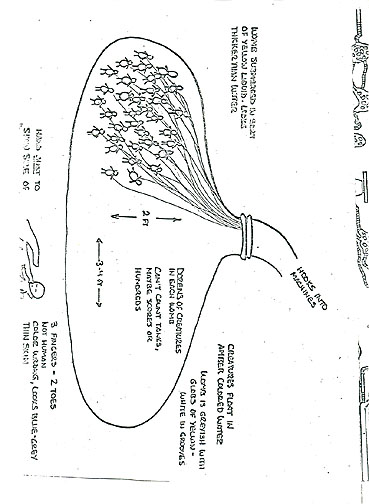 Doczona grafika