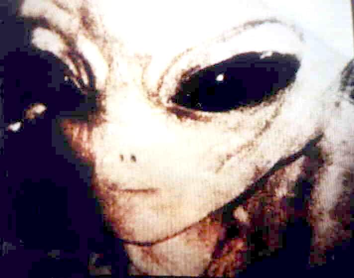 real_alien2.jpg