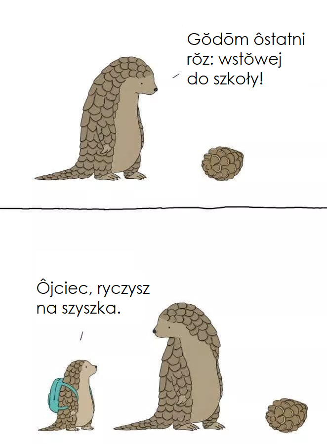 szyszka.png