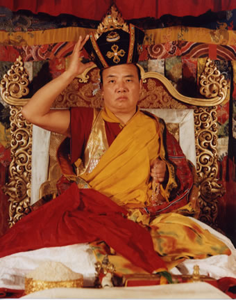 karmapa1.jpg