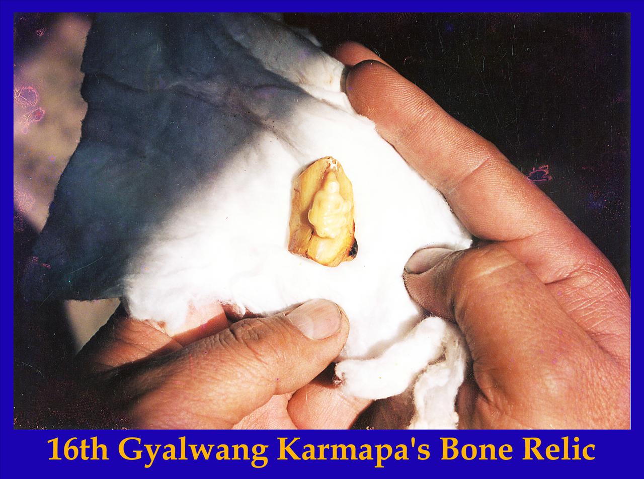bone_relic_gyalwang_karmapa_16th.jpg