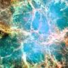 Robak wysany w przestrze kosmiczn powrci z dwiema gowami - last post by Universe24