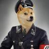 Zdjcie